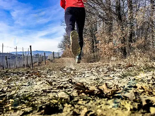 跑步人物背影高清图片下载