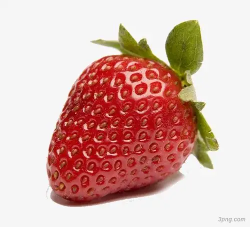 一颗新鲜草莓png素材透明免抠图片-其他元素