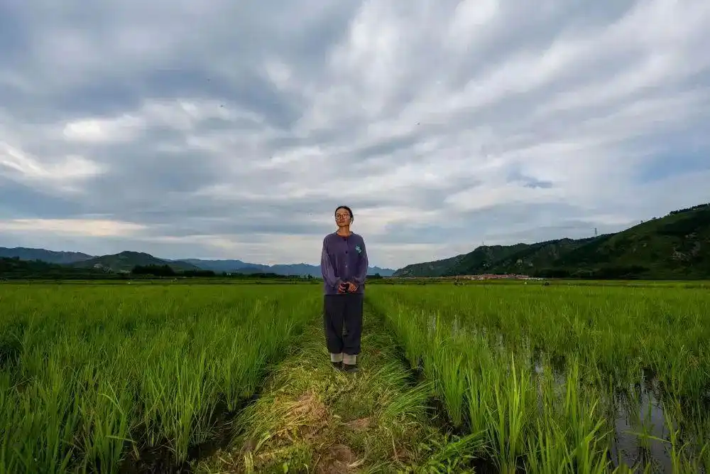下稻田骑摩托开直播这个90后姑娘很新农人