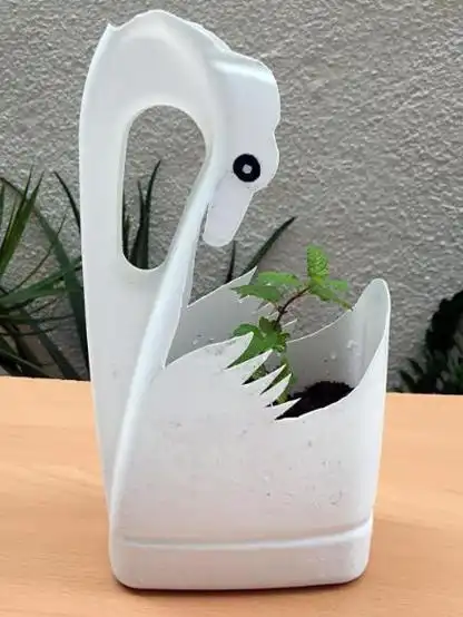 原来洗衣液的空瓶子这么实用!随手一剪变花盆,后悔以前都扔了