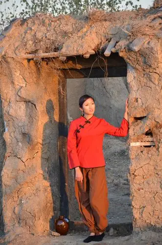 电影红高粱与巩俐追寻闪亮的星辰之九作者胡洪谦天天开心