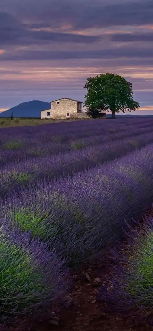 手机全屏壁纸 高清壁纸 情侣头像 微信头像 个性壁纸 苹果壁纸 精选