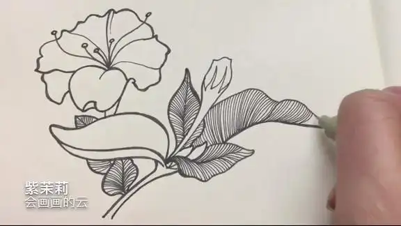 2分钟教你0基础画紫茉莉