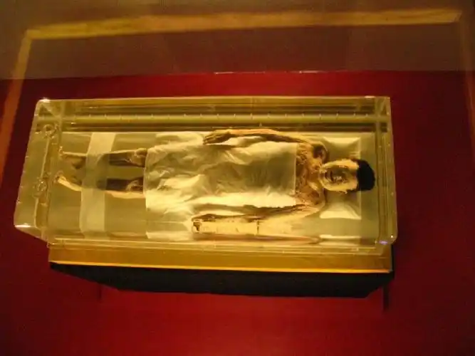 辛追夫人的遗体照片看着很吓人很多专家却称其栩栩如生为何