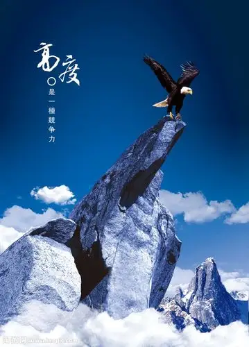 企业文化形象宣传广告psd素材下载(图片id:10921)_-海报设计-psd素材