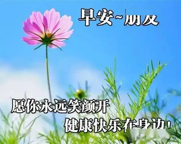 今日最新版早安问候大全早上好最新最美表情包祝福语图片带字