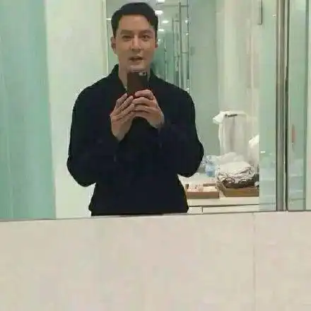 吴彦祖帅气性感照镜子型男范gif动图_动态图_表情包下载_soogif