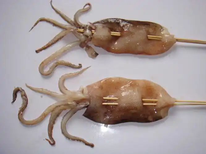 速冻鱿鱼串可以放什么添加剂?