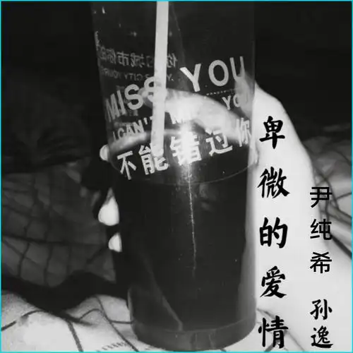 孙逸尹纯希卑微的爱情