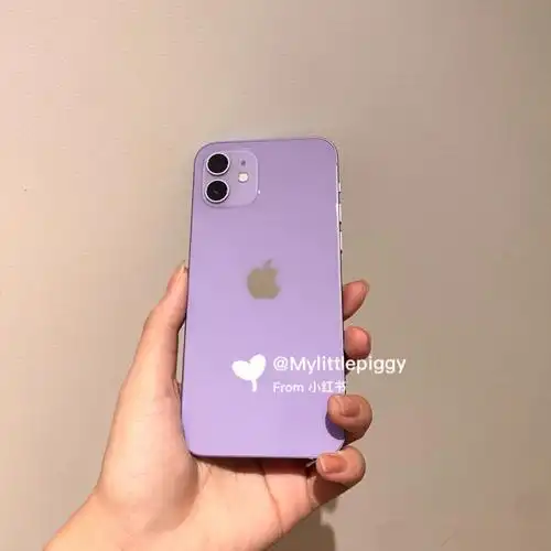 iphone12紫色好绝13pm