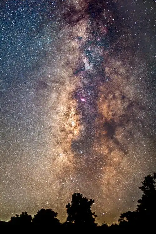 星空@从化阿婆六