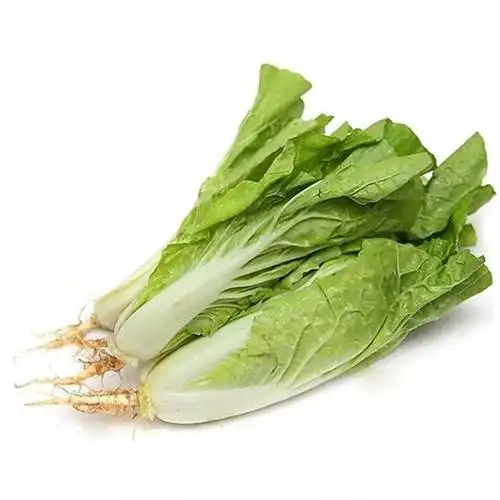 水培快白菜苗(300g)