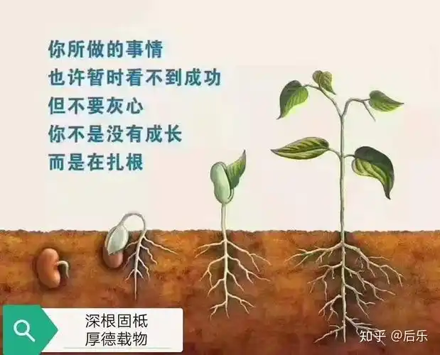 固柢机器人锻炼心得周记集第24周之二父母人生的来