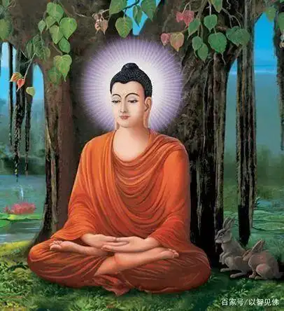 让自己做到心中有数,能够持续,顽强地修行下去.