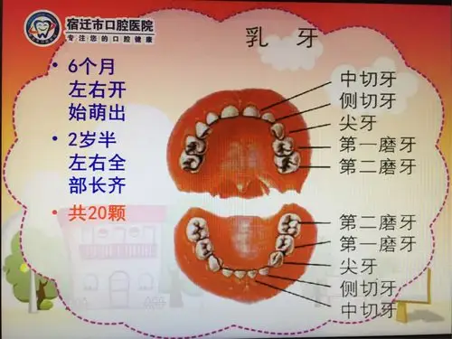 牙齿健康,从口腔体检开始——宿城区机关幼儿园开展口腔体检活动