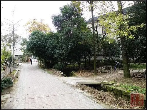 虞山访古——缪希雍墓