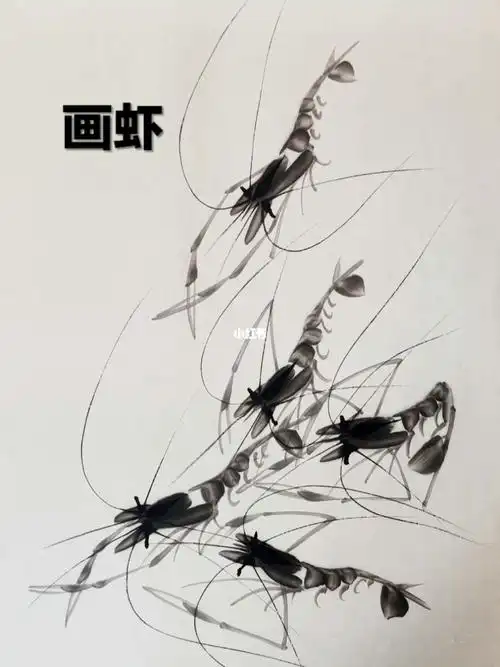 水墨虾画法分享