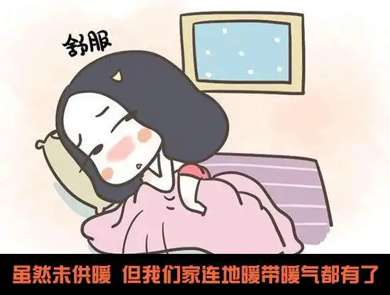 冬日睡眠,如何焕新你的幸福指数?
