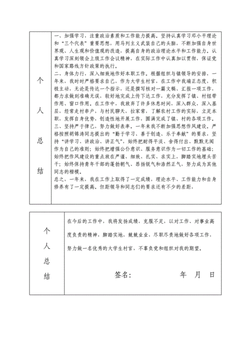 大学生村官年度考核登记表doc3页