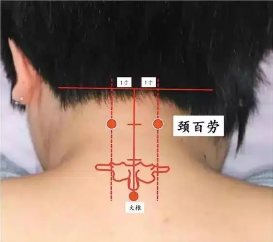 【每日一穴】一个穴位解决脖子痛,学会了——你就是按摩大师!