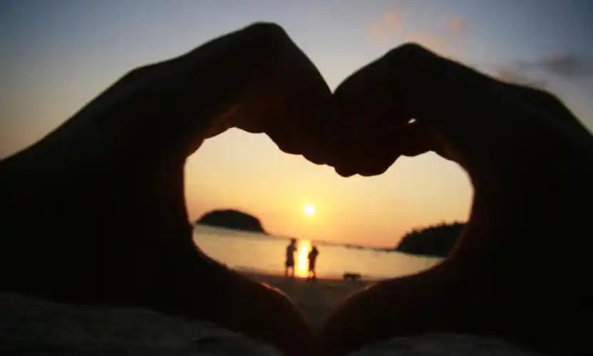 只是脑海中一直出现这样的画面,两个老人相互依偎着,坐在花园屋前的