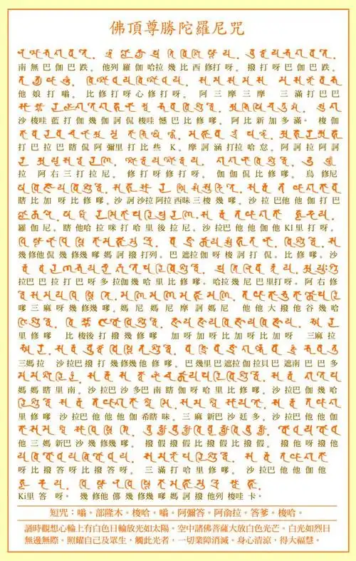 (十一)放生用咒