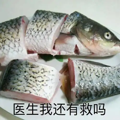 武亦姝获得《中国诗词大会》第二季冠军