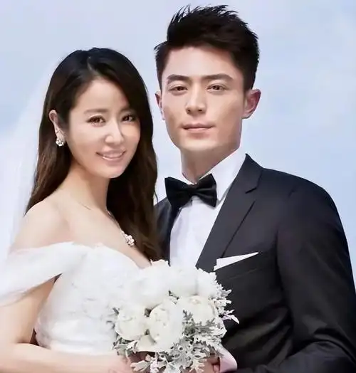 夫妻本是同林鸟但抱歉林心如这次也救不了霍建华