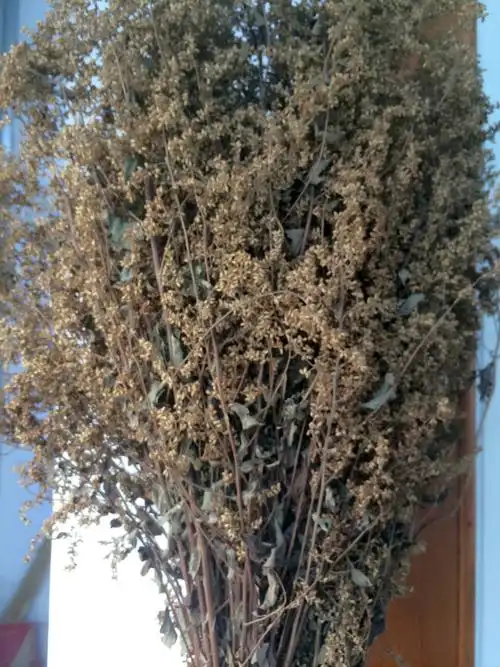 高山野生六月霜茶 防暑降暑解暑花草清凉茶500克包邮夏天去火