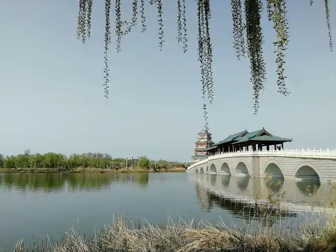 20200407单县浮龙湖成武文亭湖菏泽牡丹机场