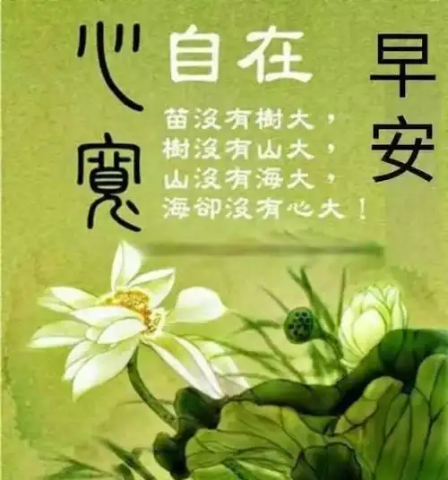 清晨最美早上好表情图片带字暖心的早安祝福说说句子
