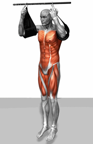 越喜欢锻炼身体|哑铃|肌群|双杠|引体向上|肌肉|肱二头肌_网易订阅