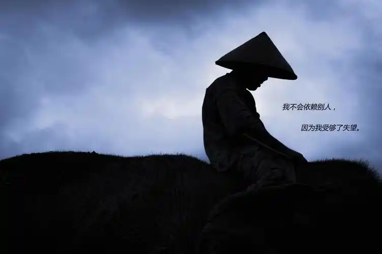 失望攒够了,也就离开了.