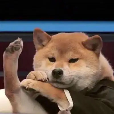 2023沙雕新款头像 高清奇葩又逗比的2023搞怪头像图片_搞笑头像_头像