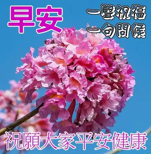 早晨问候语打动人心的早安暖心话短句