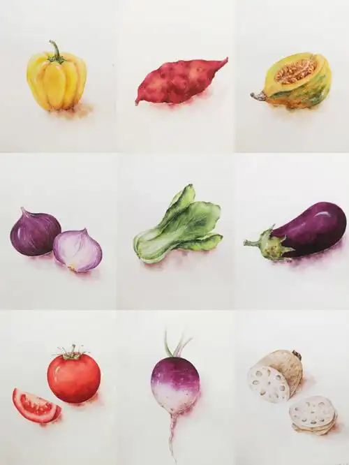 水彩练习蔬菜系列
