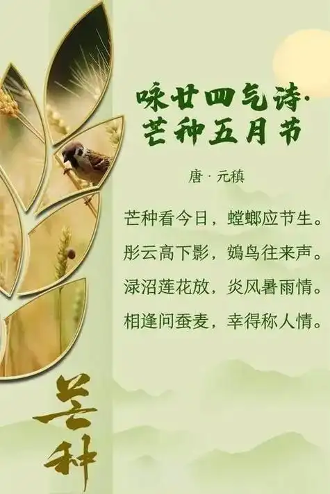 芒种,是二十四节气之第九个节气,夏季的第三个节气,干支历午月的起始