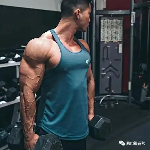 不管是男性想要练出肌肉更加结实,曲线清晰明显的手臂,还是女性想要让