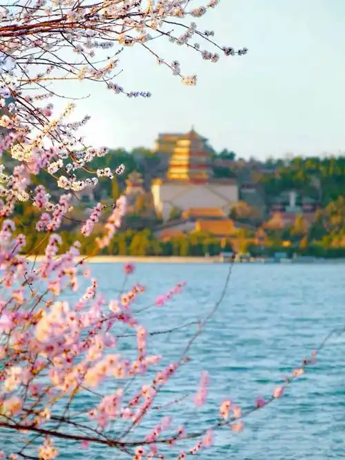 来北京游玩想找靠谱导游讲解北京找导游一天多少钱如何省心看完就懂了