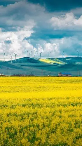 植物,花,梦幻 - 堆糖,美图壁纸兴趣社区
