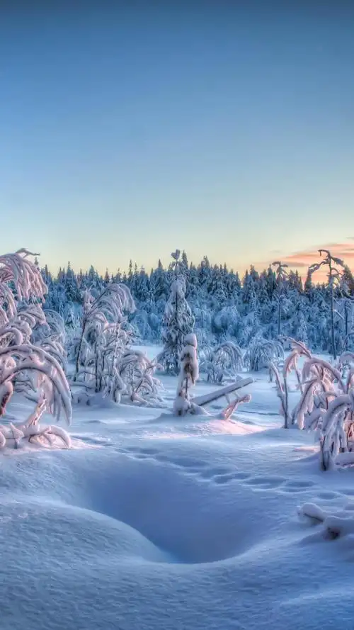 冰雪世界唯美风景