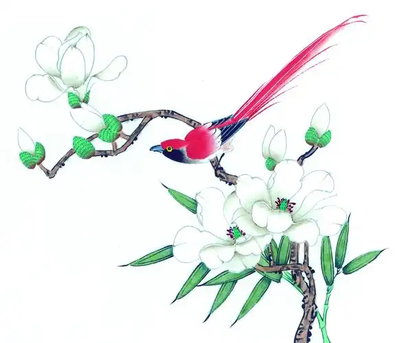 传统花鸟工笔画