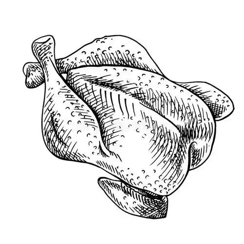 简单一点的鸡肉简笔画