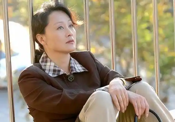 王姬也是拼命拍戏,接广告,接代言……截止自2011年,王姬身上也是积攒