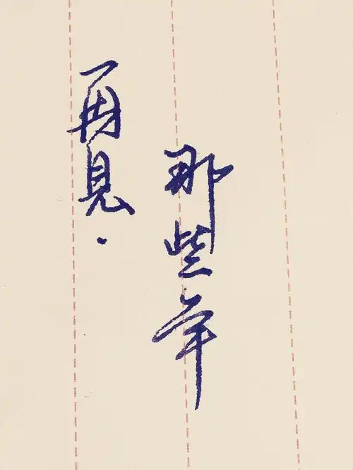 再见那些年,手写