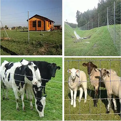 养殖钢丝牛栏网50米钢丝草原围网库存