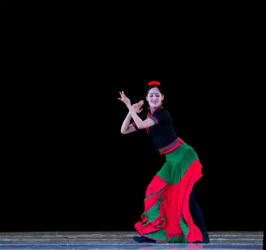 中国民族舞集锦(二)