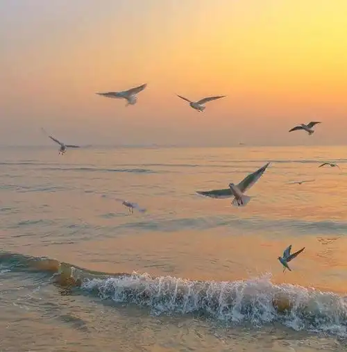 微信朋友圈封面背景来了,该换新的了!