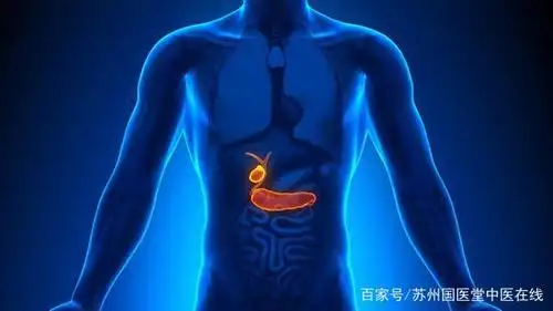 胆囊疼痛怎么缓解