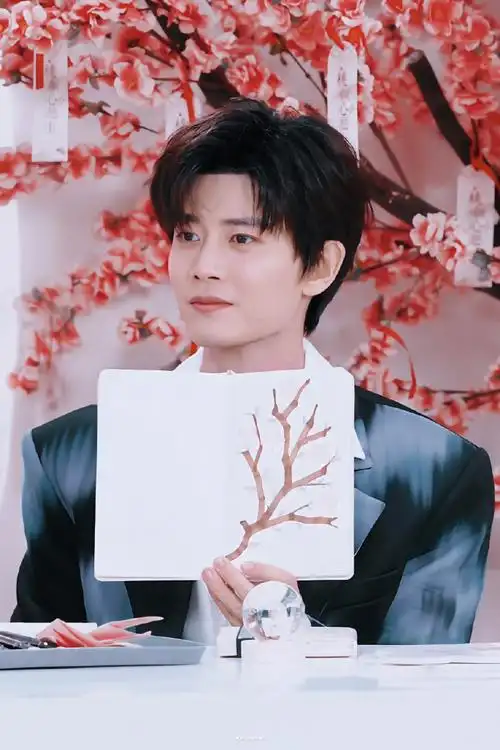 桃花姬食品品牌代言人任嘉伦